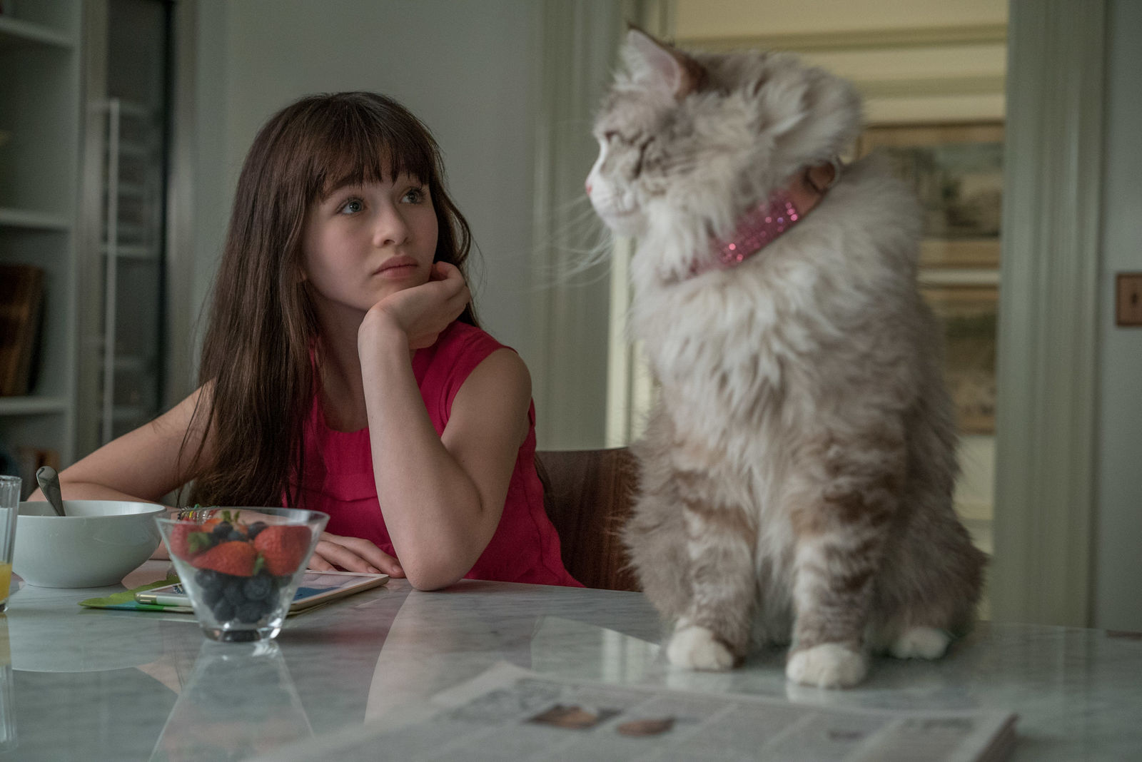 #FilmePentruPărinți – „Nouă vieți” („Nine Lives”)
