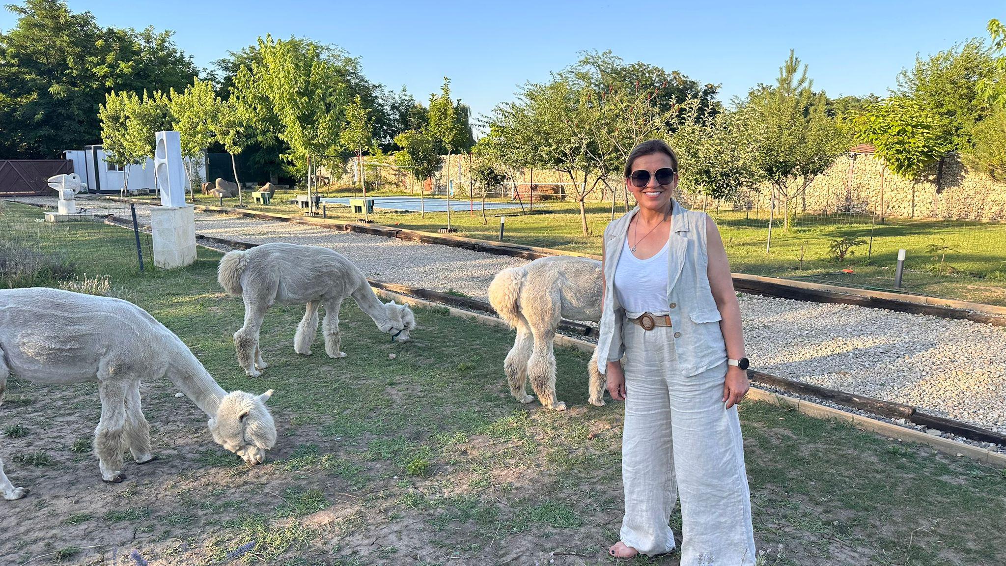 Excursie cu alpacale – la o oră de București!